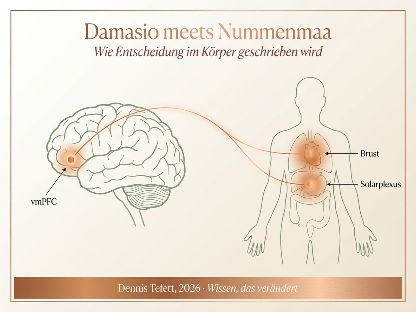 Damasio meets Nummenmaa: vmPFC und Körper-Hotspots als somatische Marker für Entscheidungen