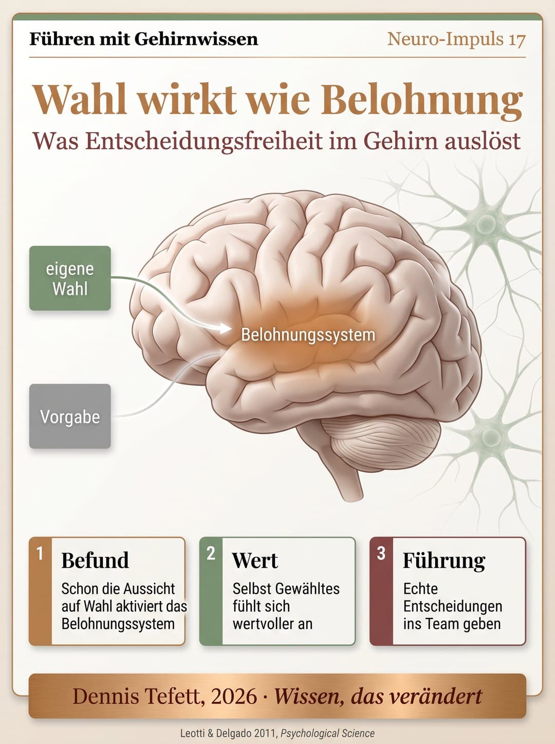 Infografik Wahl wirkt wie Belohnung: Ein Gehirn im Seitenprofil, dessen tiefe zentrale Belohnungsregion kupfern leuchtet. Eine grüne Kachel eigene Wahl führt mit kräftiger Linie dorthin, eine graue Kachel Vorgabe nur mit schwacher Linie.
