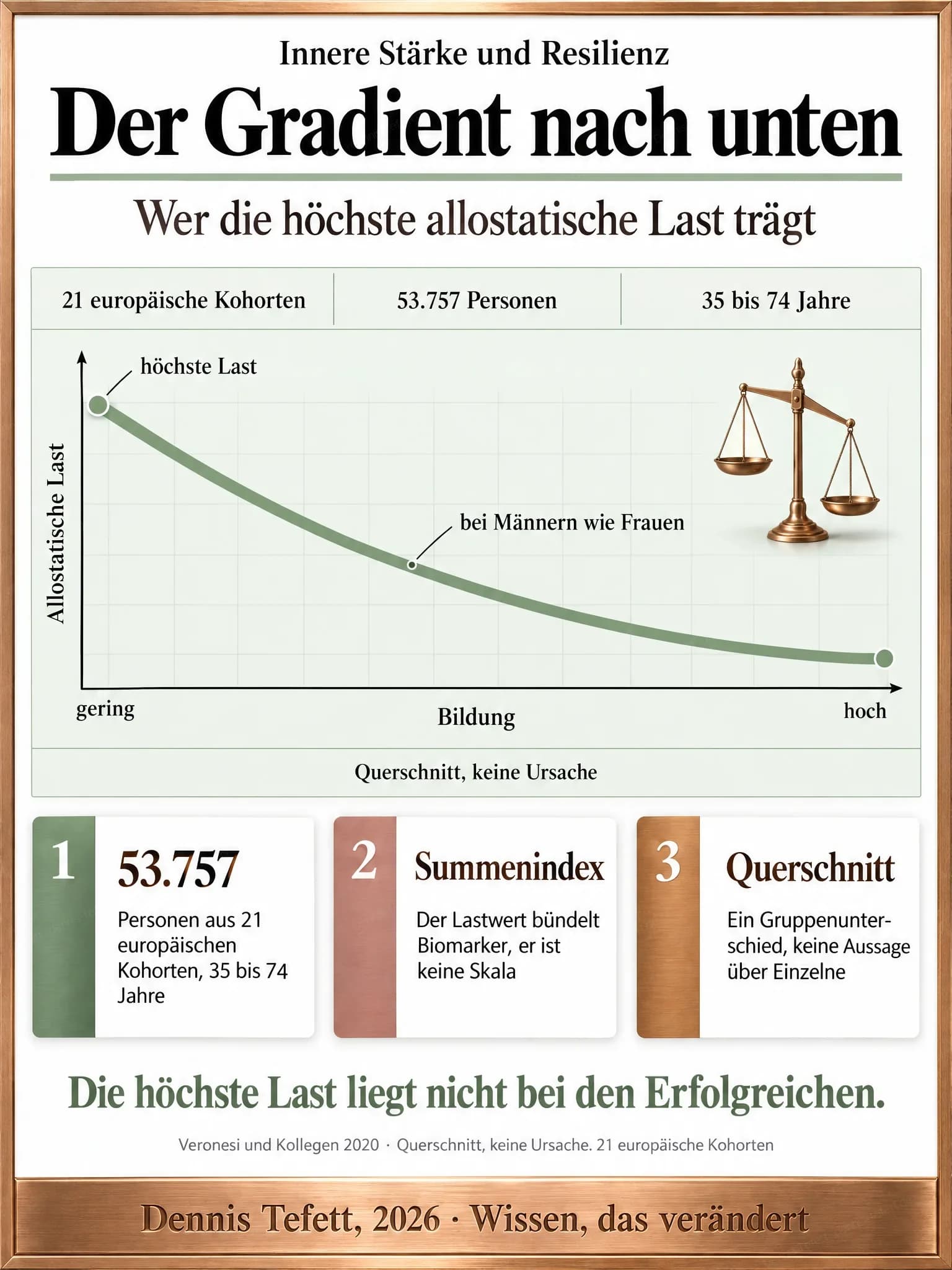 Infografik: Steckbrief einer Untersuchung an 53.757 Personen aus 21 europäischen Kohorten. Eine schematische Linie fällt von der höchsten allostatischen Last bei geringster Bildung zur niedrigsten bei hoher Bildung, bei Männern wie bei Frauen.