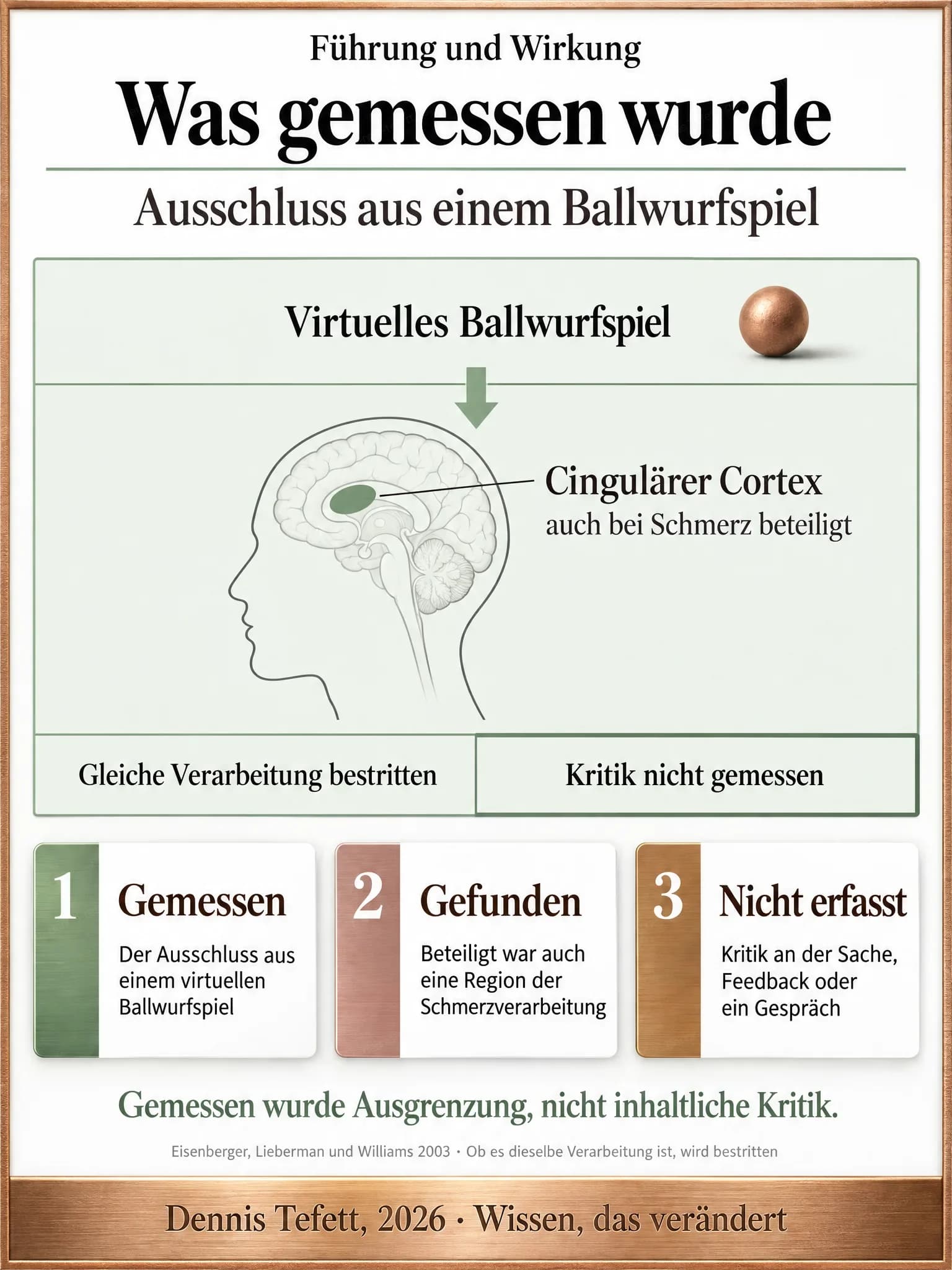 Infografik: Steckbrief zum virtuellen Ballwurfspiel. Ein Pfeil führt zu einem Kopf mit markiertem cingulärem Cortex, der auch bei Schmerz beteiligt ist. Darunter die Hinweise, dass die gleiche Verarbeitung bestritten und Kritik nicht gemessen ist.
