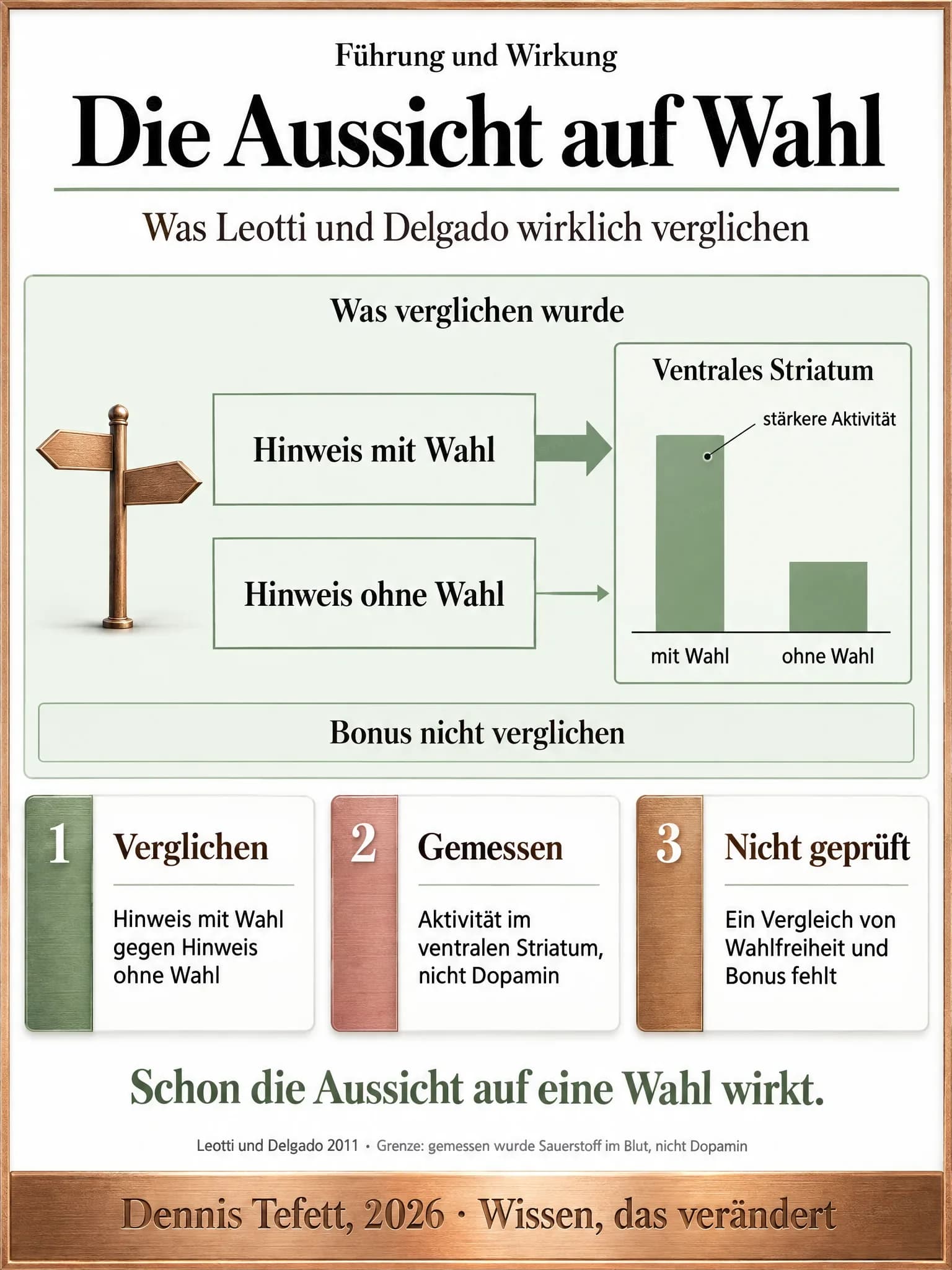 Infografik: Zwei Hinweisarten im Vergleich, einmal mit Wahl und einmal ohne Wahl, daneben zwei Balken zur Aktivität im ventralen Striatum und der Hinweis, dass ein Bonus nicht verglichen wurde.