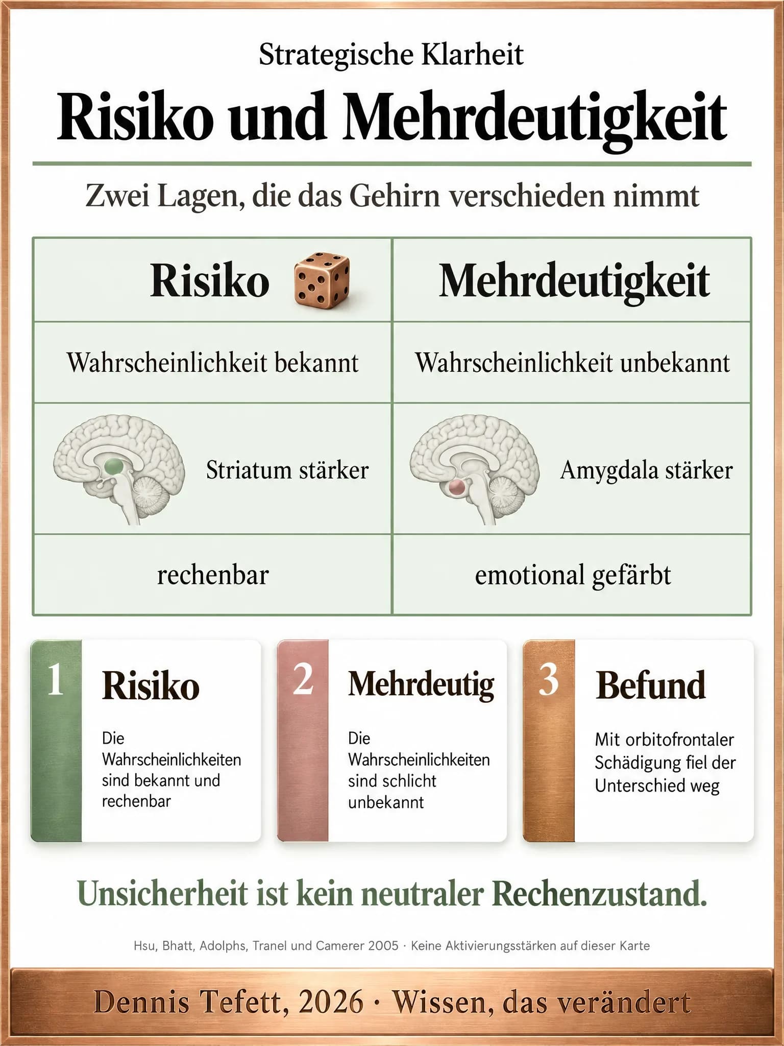 Infografik: Zwei Spalten im Vergleich, links Risiko mit bekannten Wahrscheinlichkeiten und stärker beteiligtem Striatum, rechts Mehrdeutigkeit mit unbekannten Wahrscheinlichkeiten sowie Amygdala und orbitofrontalem Cortex.
