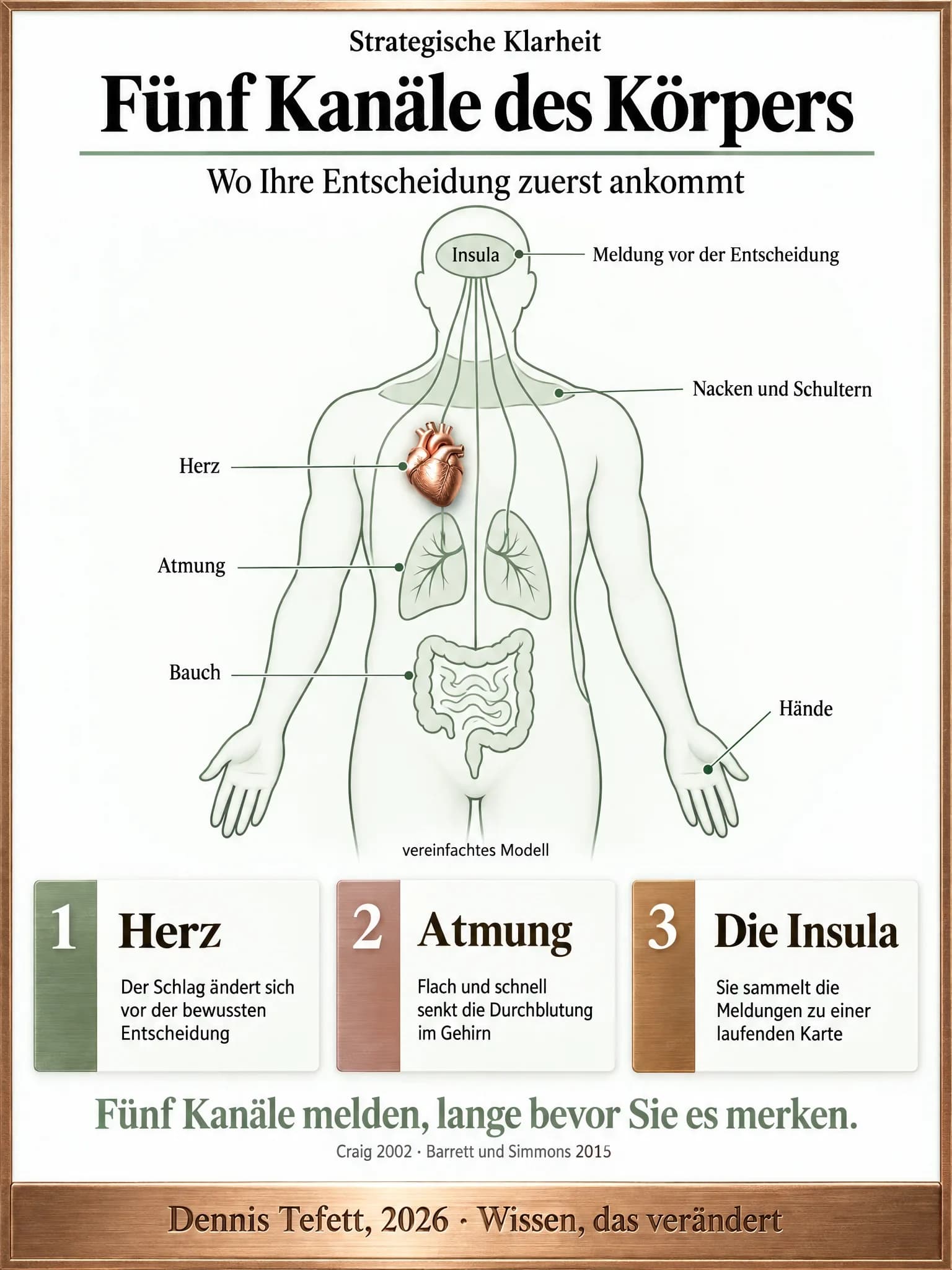 Körperkarte von vorn mit fünf beschrifteten Stellen: Herz, Atmung, Bauch, Nacken und Schultern sowie Hände, jede mit einer kurzen Erklärung, darunter der Hinweis vereinfachtes Modell.
