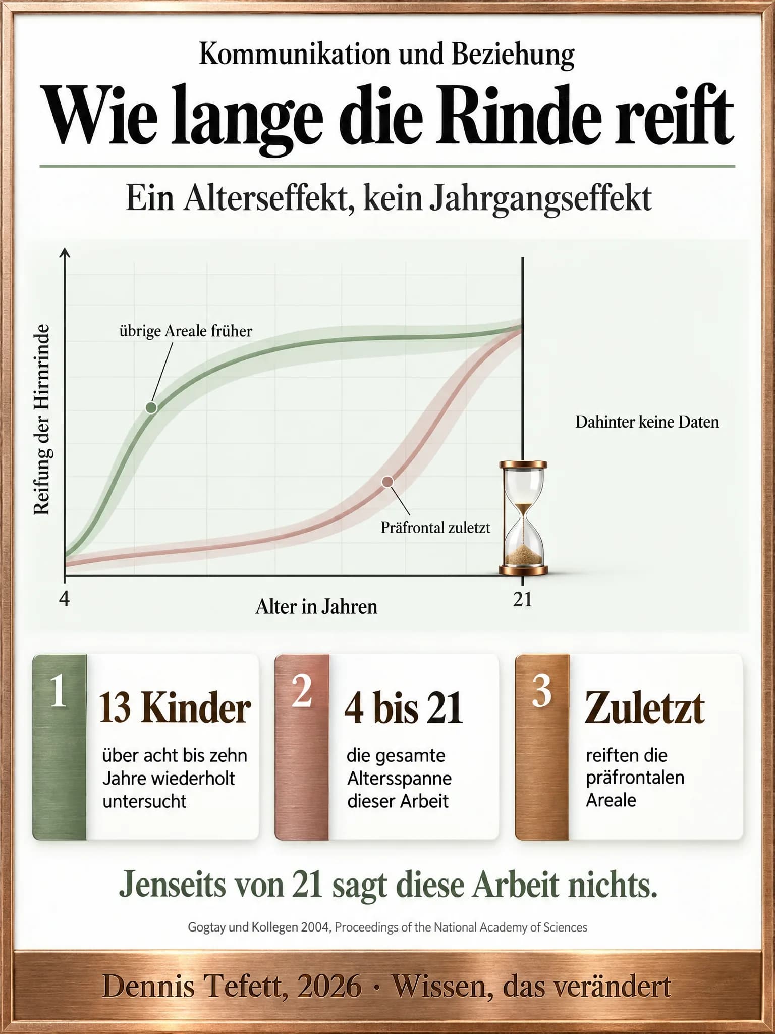 Infografik: Ein schematisches Flächendiagramm über der Altersachse von 4 bis 21 Jahren. Zwei Bänder steigen, die übrigen Areale früher, die präfrontalen zuletzt. Hinter 21 bleibt die Fläche leer.