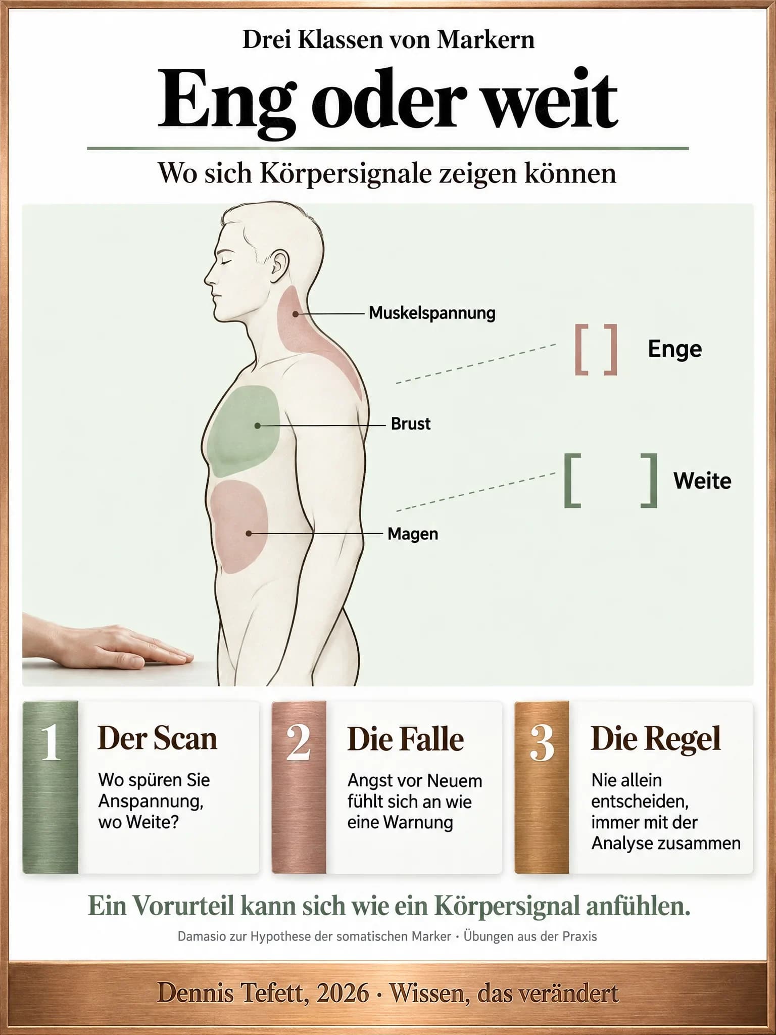 Infografik: Ein Oberkörper mit Kopf von der Seite, drei beschriftete Zonen an Brust, Magen und in der Muskulatur von Schultern und Nacken. Rechts daneben zwei Zeilen mit den Qualitäten Enge und Weite.