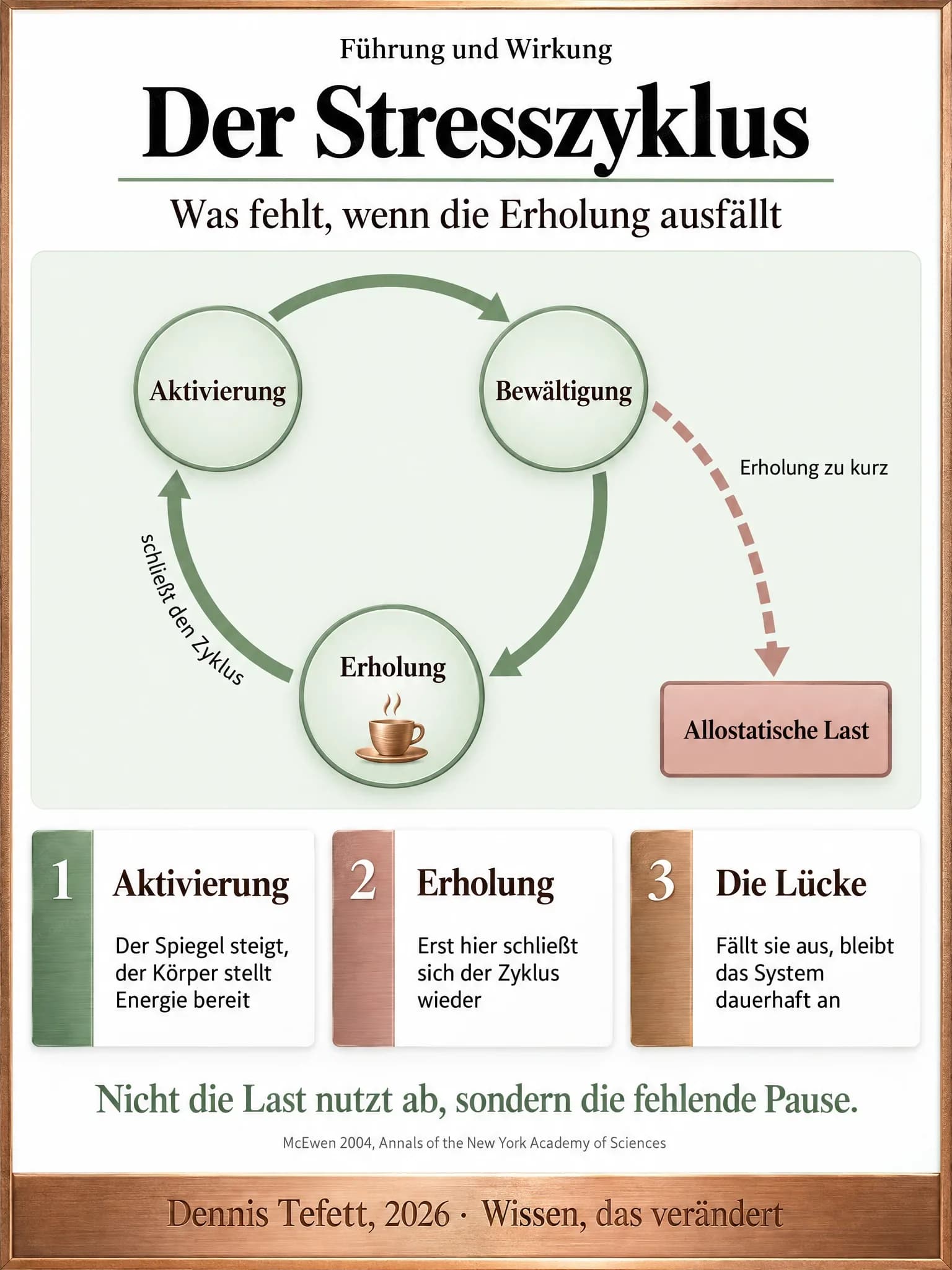 Informationsplakat: Drei Stationen im Kreis, Aktivierung, Bewältigung und Erholung, mit Pfeilen im Uhrzeigersinn. Ein gestrichelter Pfeil umgeht die Erholung und endet außerhalb des Kreises bei Allostatische Last.