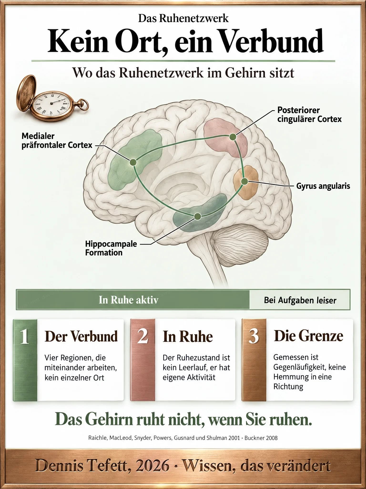 Infografik: Ein Gehirn im Mittelschnitt von der Seite mit vier beschrifteten Regionen, die durch Linien zu einem Netz verbunden sind. Unten ein Balken, der zeigt, dass das Netz in Ruhe aktiv und bei Aufgaben leiser ist.