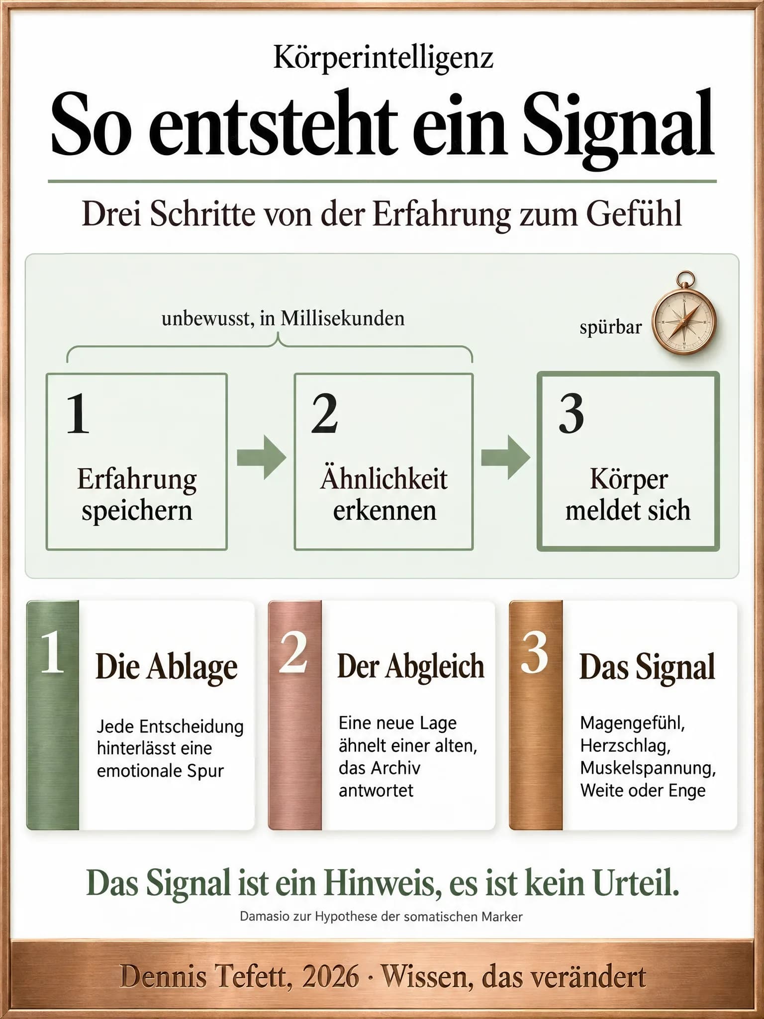 Infografik: Drei Felder nebeneinander, verbunden durch zwei Pfeile, vom Speichern einer Erfahrung über das Erkennen einer Ähnlichkeit bis zur Meldung des Körpers. Die ersten beiden laufen unbewusst in Millisekunden, das dritte ist spürbar.