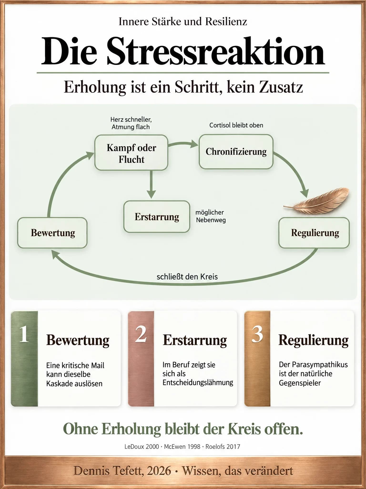 Kreislaufgrafik mit vier Stationen von Bewertung über Mobilisierung und Chronifizierung zur Regulierung, einem Rückweg und dem Nebenweg Erstarrung unter der Mobilisierung.