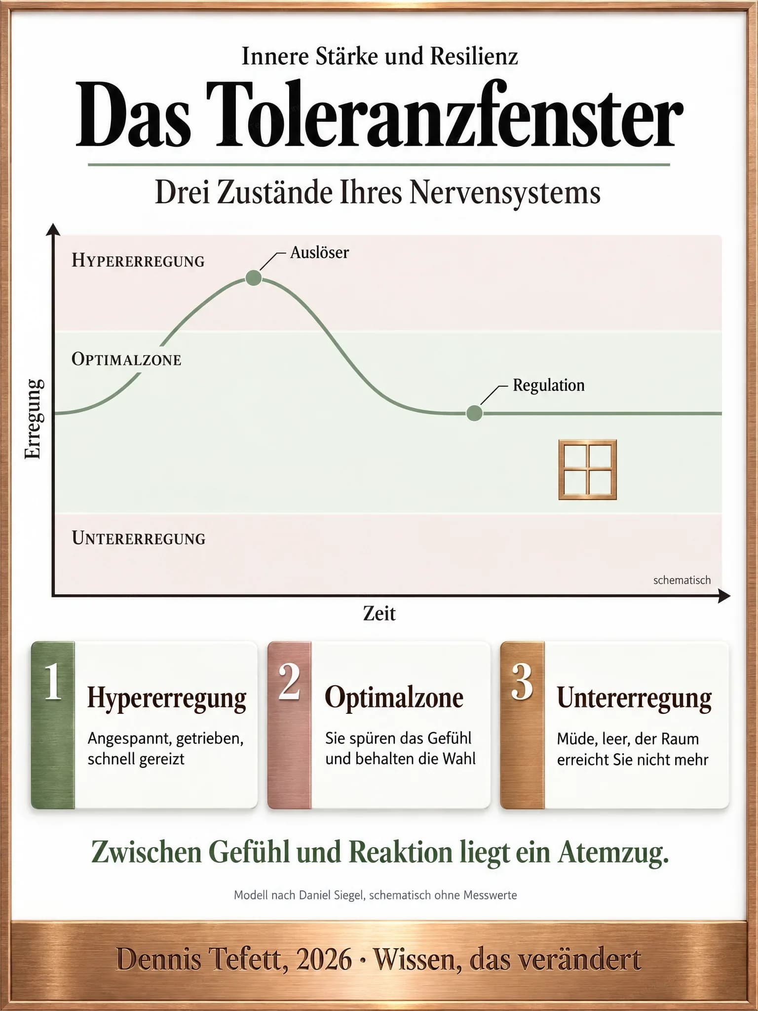Plakat: Ein schematisches Diagramm mit drei waagerechten Bändern zeigt Hypererregung, Optimalzone und Untererregung, eine Linie steigt bei einem Auslöser nach oben und kehrt bei der Regulation in die Mitte zurück.