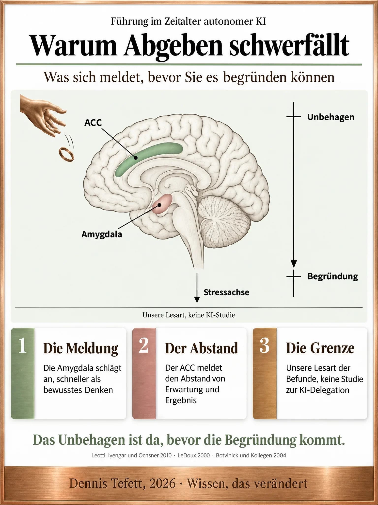 Infografik: Ein Gehirn im Mittelschnitt von der Seite mit zwei beschrifteten Regionen und einem Pfeil nach unten zur Stressachse. Rechts ein Zeitbalken mit zwei weit auseinanderliegenden Marken für das Unbehagen und die Begründung.