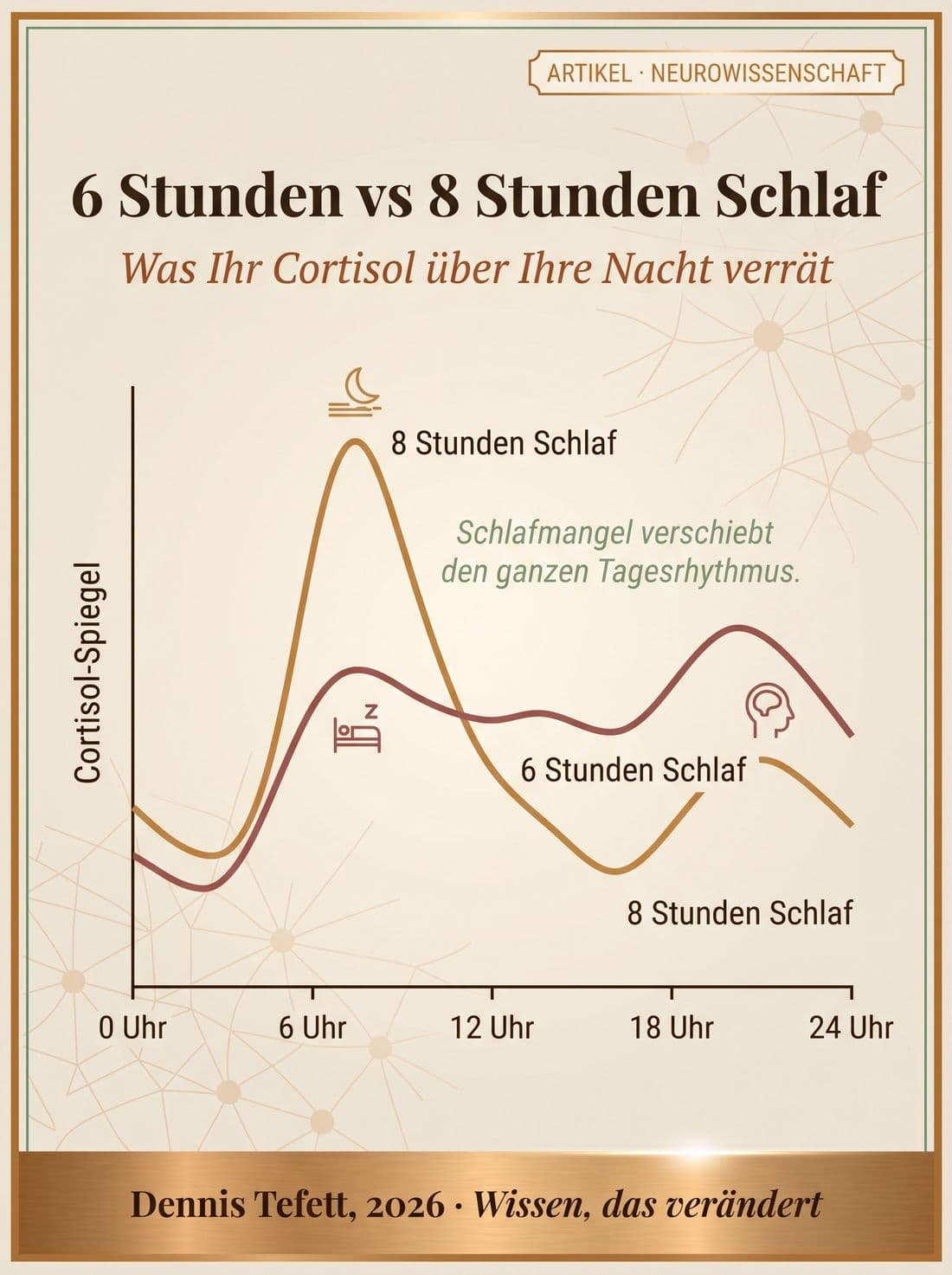 Zwei Cortisol-Tageskurven im Vergleich: 8 Stunden Schlaf mit klarer Morgenspitze und tiefem Nacht-Tief gegen 6 Stunden Schlaf mit flacherem Start und erhoehter Abend-Hochebene.