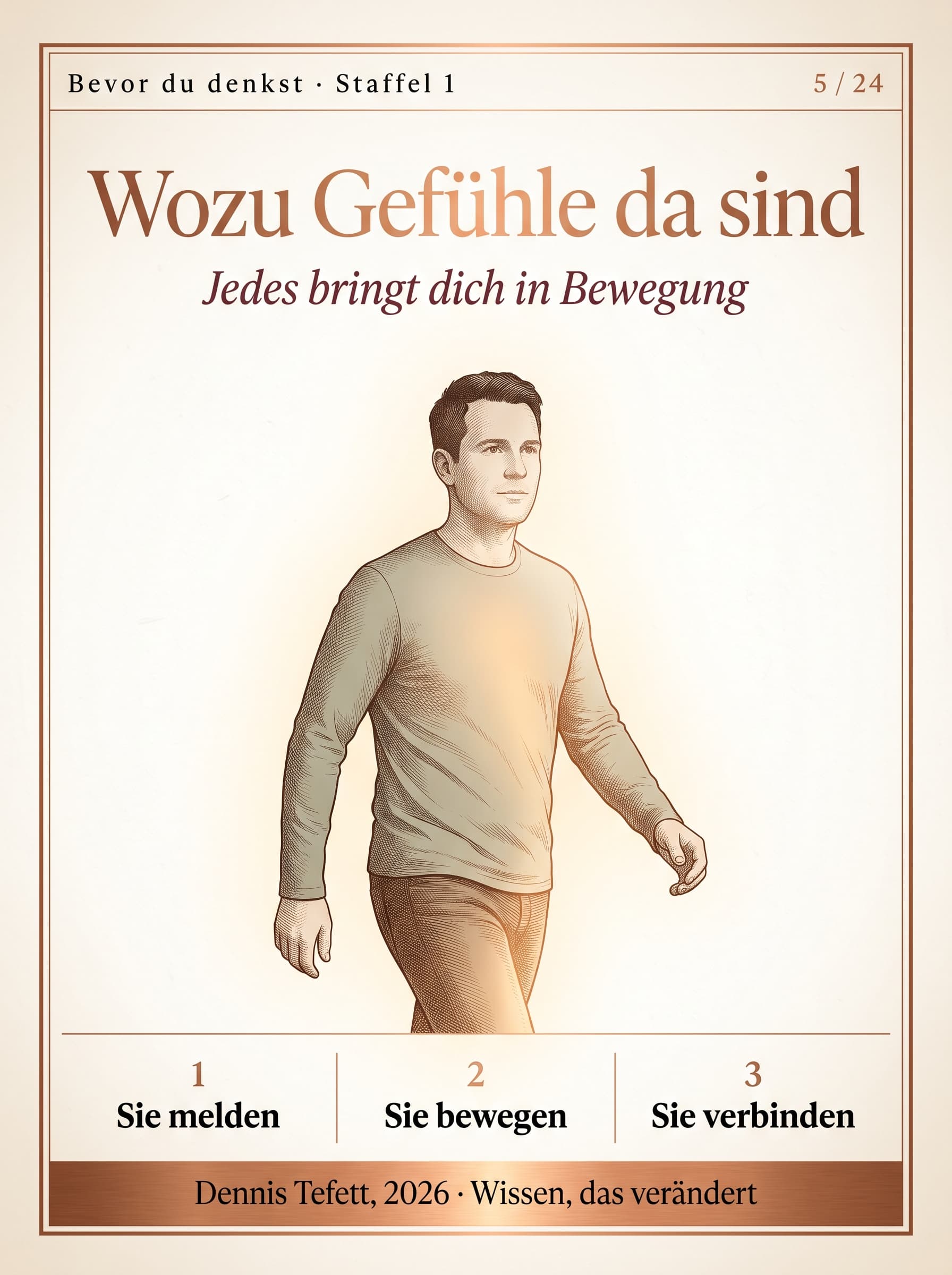 Eine feine Kompassrose, jede Richtung endet in einem sanften farbigen Leuchten.