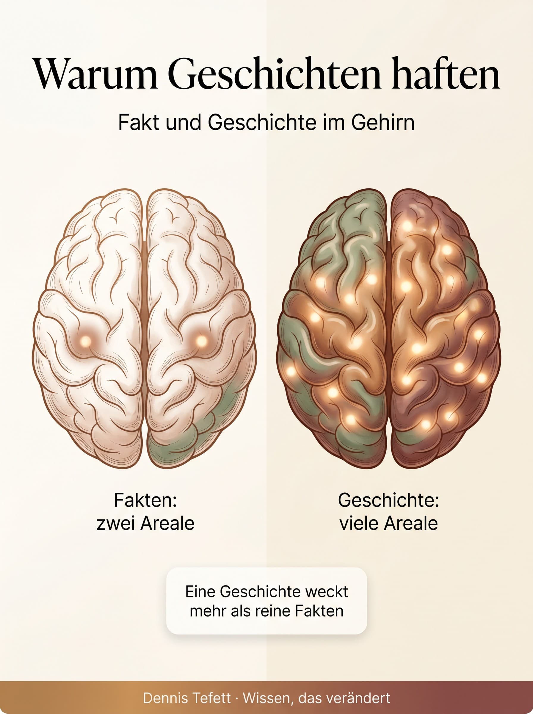Infografik: Reine Fakten aktivieren nur wenige Sprachareale im Gehirn, eine Geschichte aktiviert viele Areale. Deshalb bleiben Geschichten besser haften.