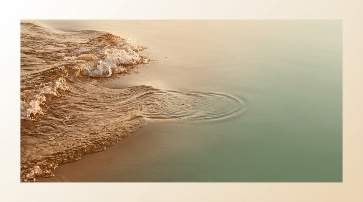 Emotionale Regulation: Bewusster Umgang mit Gefühlen im Führungsalltag, Dennis Tefett Coaching