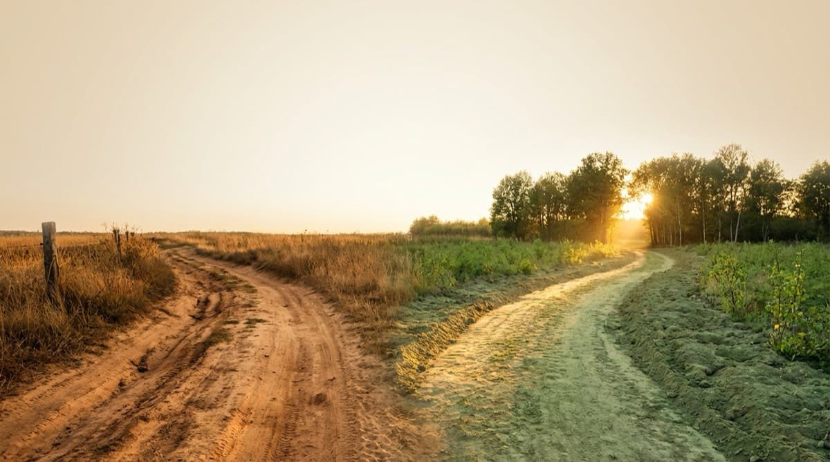 Gewohnheiten verändern: Der Gewohnheitskreislauf aus Auslöser, Routine und Belohnung im Gehirn