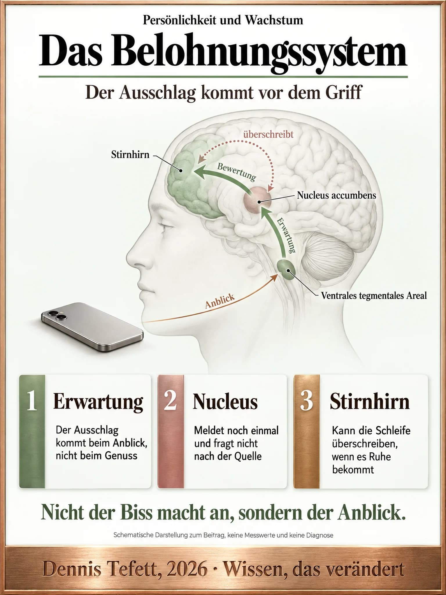 Informationsplakat: Seitenansicht eines Kopfes mit dem Gehirn im Umriss. Markiert sind das ventrale tegmentale Areal, der Nucleus accumbens und das Stirnhirn, verbunden durch einen Pfad mit den Worten Erwartung und Bewertung. Vor dem Gesicht liegt ein Gerät mit der Rückseite nach oben.