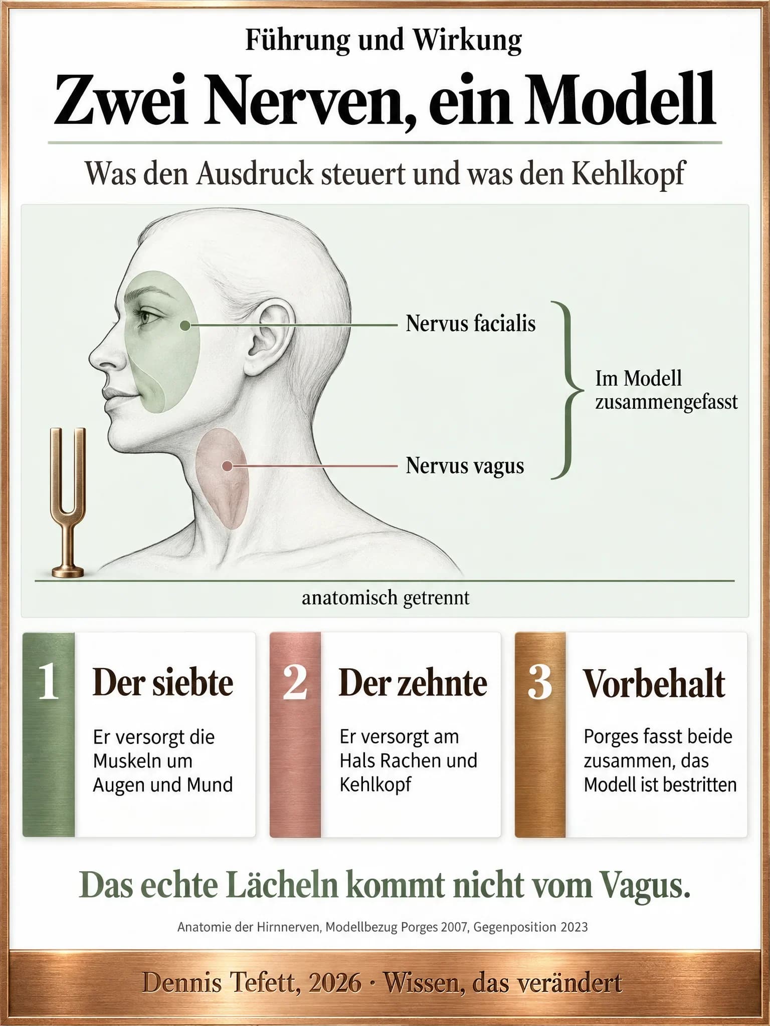 Plakat: Ein Kopf im Profil zeigt zwei getrennte markierte Bereiche, einen um Auge und Mund für den siebten Hirnnerv und einen tiefer am Hals für den zehnten, darunter eine Klammer mit dem Hinweis auf die Zusammenfassung im Modell.