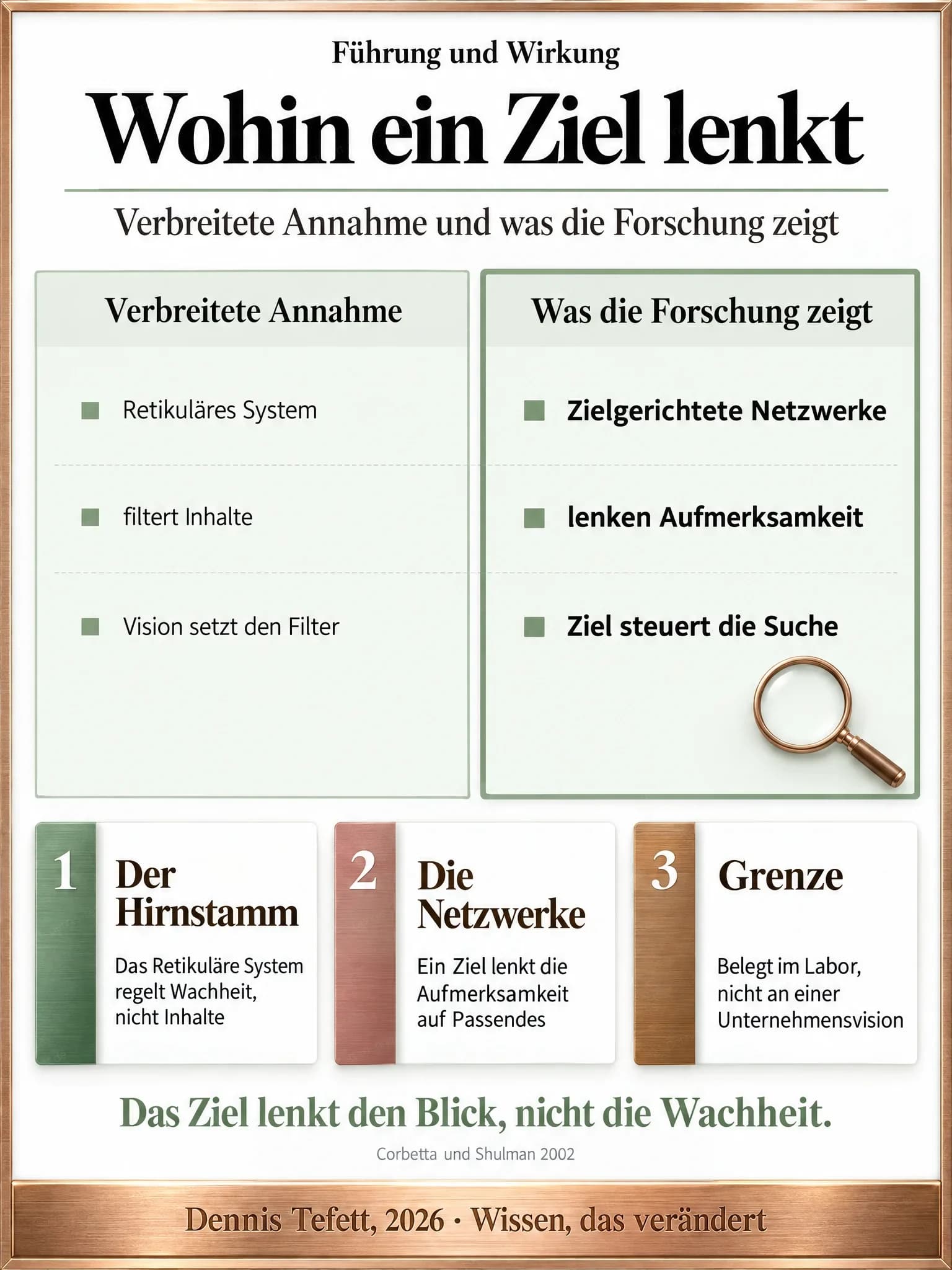 Plakat: Zwei Spalten stellen die verbreitete Annahme über das Retikuläre System der Befundlage zu den zielgerichteten Aufmerksamkeitsnetzwerken gegenüber, mit drei Zeilen je Seite.