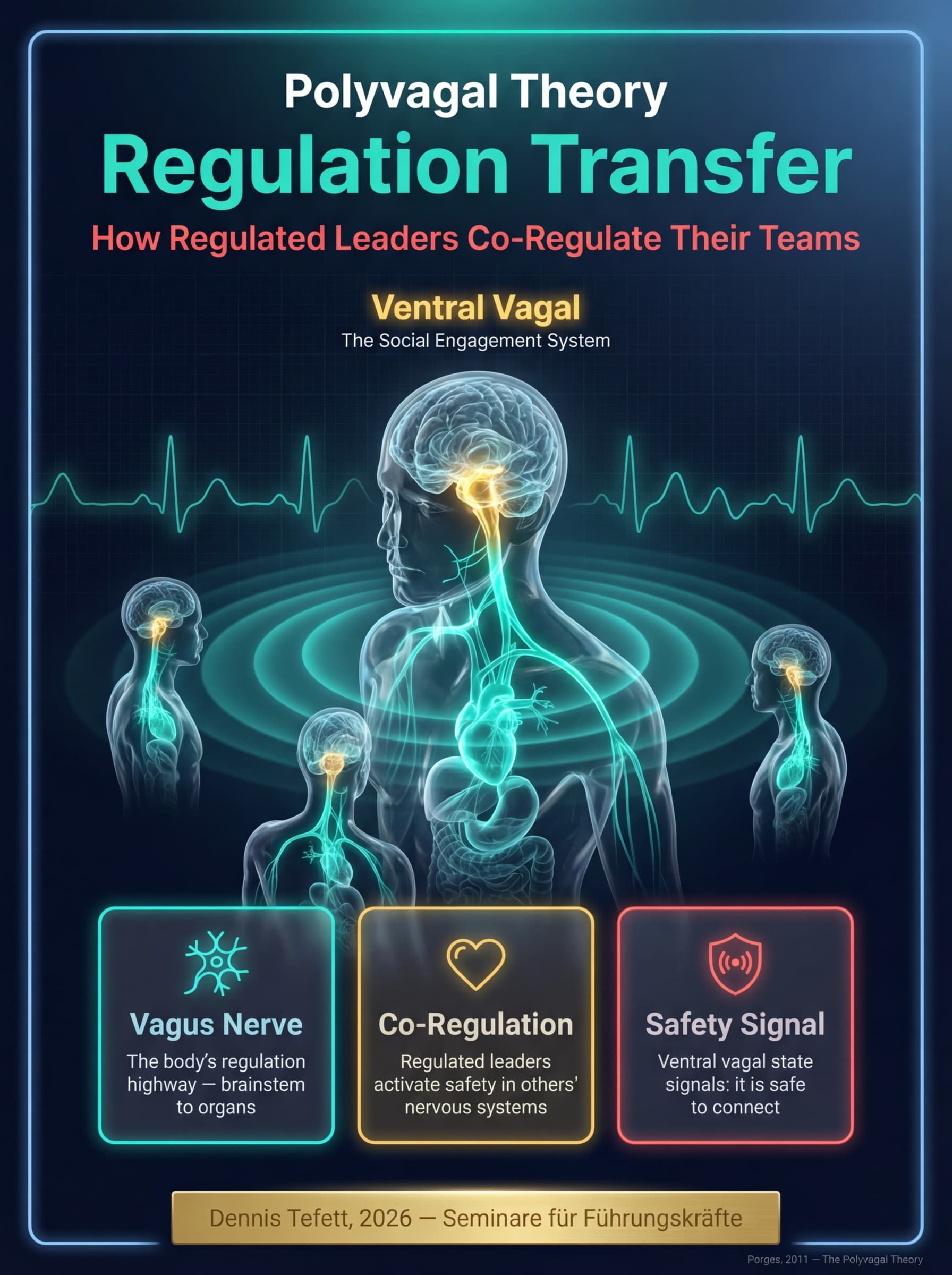 Infografik: Polyvagal-Theorie in der Führung. Drei Zonen als konzentrische Kreise: grüner ventral-vagaler Zustand (Sicherheit, Verbindung), gelber sympathischer Zustand (Mobilisierung, Stress), roter dorsal-vagaler Zustand (Abschaltung, Rückzug). Eine Führungsfigur im Zentrum mit Pfeilen, die Co-Regulations-Pfade zu Teammitgliedern zeigen. Studie: Porges 2011. © 2026 Dennis Tefett