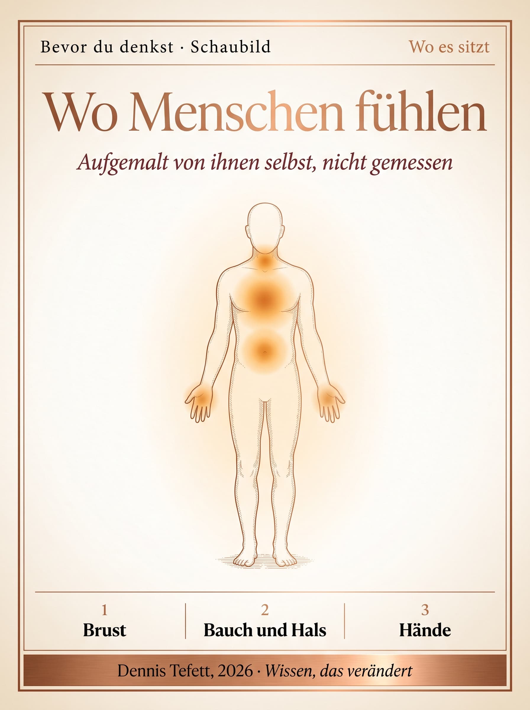 Schaubild: Körperumriss mit den Zonen, an denen Menschen Gefühle am häufigsten beschreiben, Brust, Hals, Bauch und Hände.