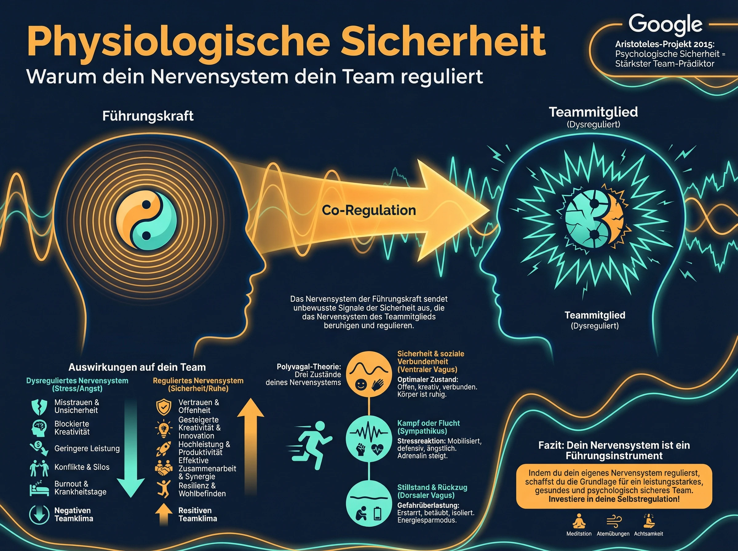 Infografik Physiologische Sicherheit: Co-Regulation zwischen Führungskraft und Teammitglied, drei Nervensystem-Zustände nach Polyvagal Theory (Ventraler Vagus, Sympathikus, Dorsaler Vagus) und deren Auswirkungen auf Teams. Basierend auf dem Google Aristoteles-Projekt 2015.
