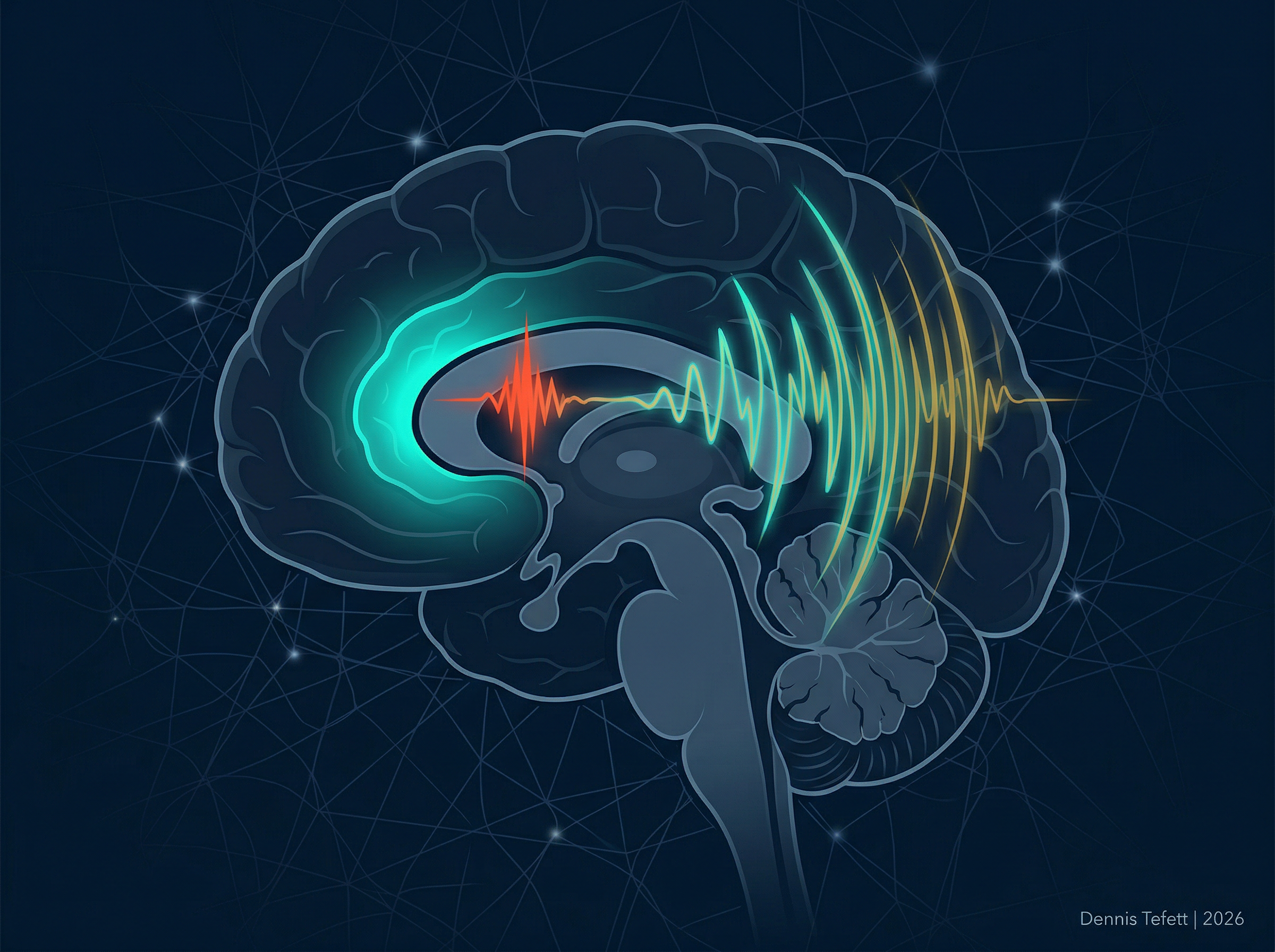 Abstrakte Visualisierung des anterioren cingulären Cortex im Gehirnquerschnitt mit leuchtenden türkisen ERN- und Pe-Wellenlinien, die die neuronale Fehlerverarbeitung darstellen. © 2026 Dennis Tefett
